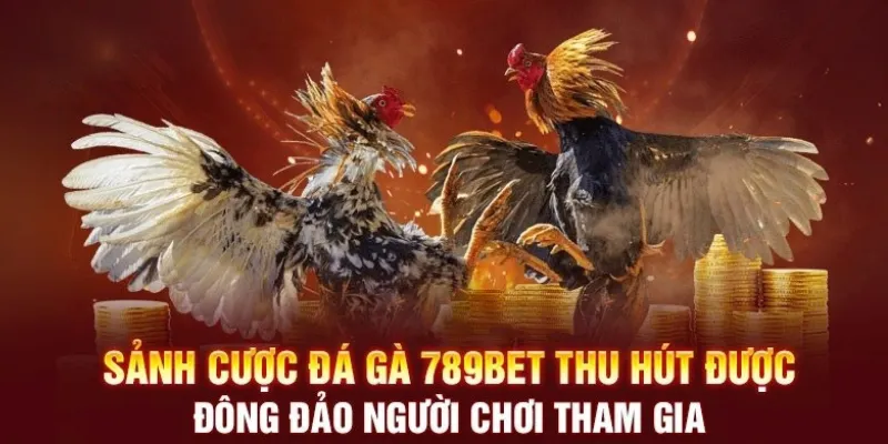 Các sảnh cược đá gà 789bet thu hút đông đảo hội viên