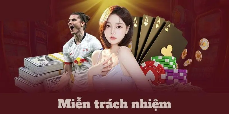 Điều khoản trong chính sách miễn trách nhiệm