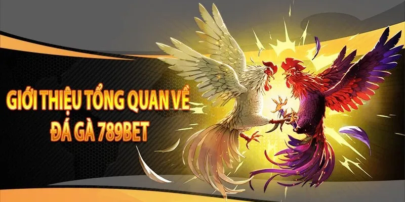 Thông tin tổng quan về đá gà 789bet